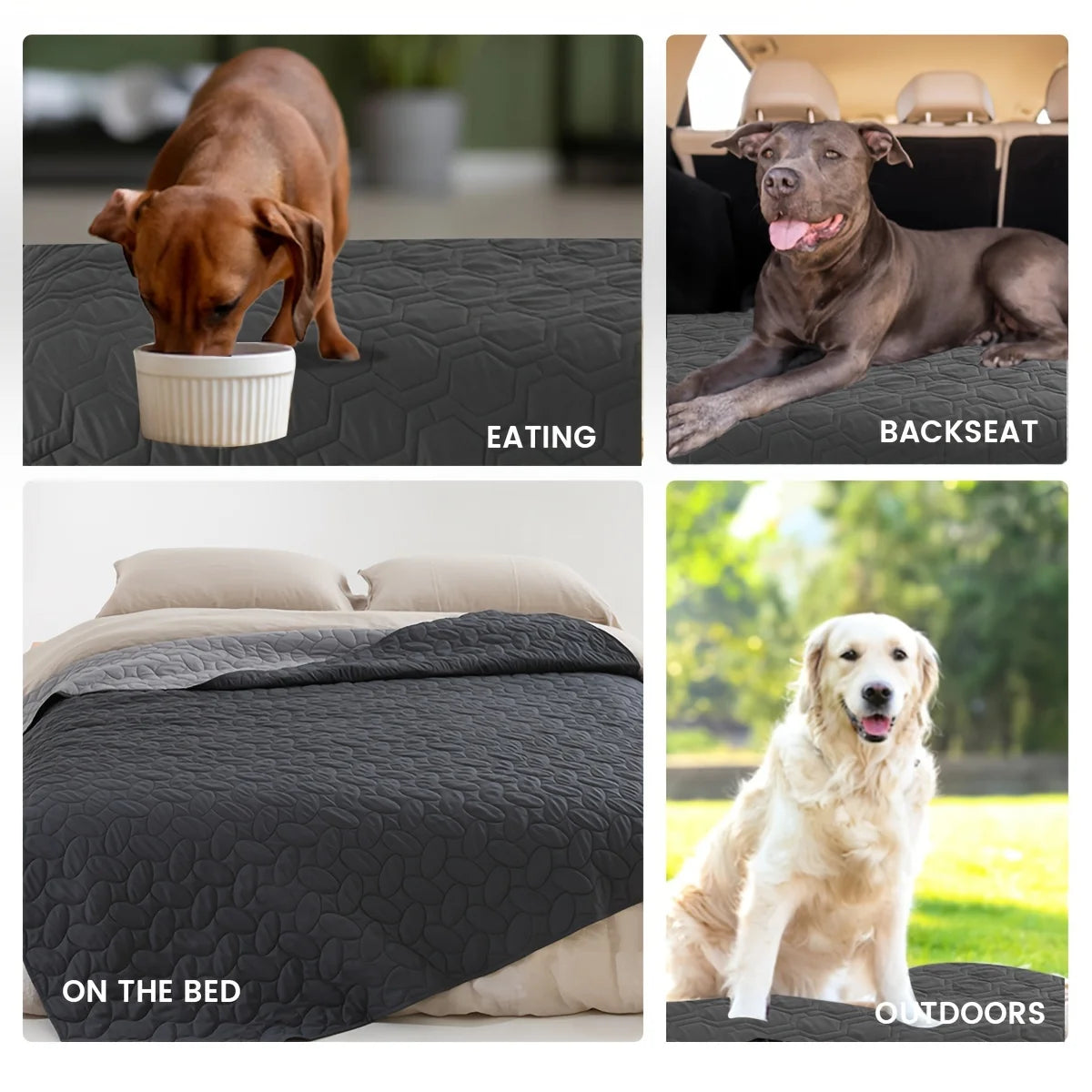 PetComfort Blanket & Bed Cover